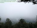 Piemont (485)